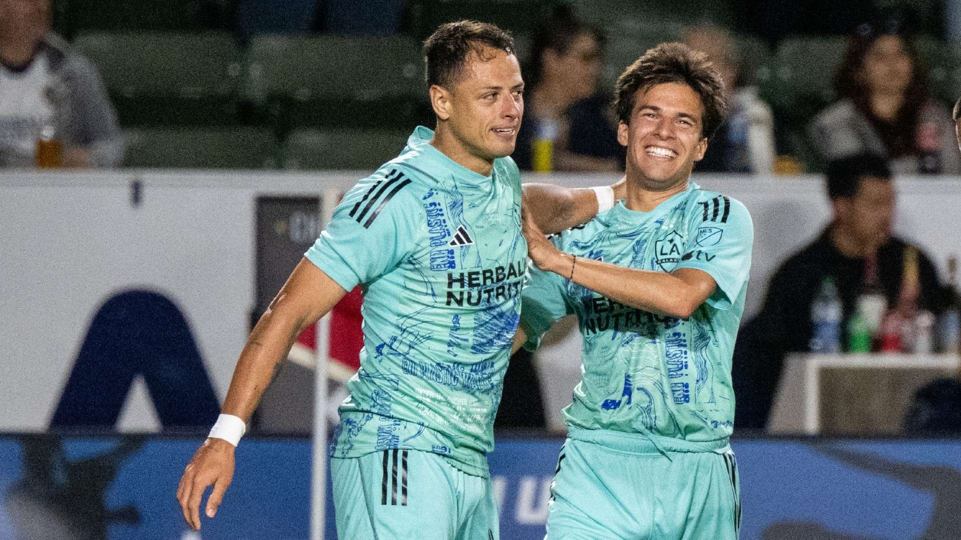 与了无数国 与了无数国